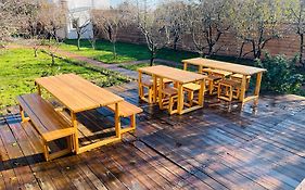 Biolocalia House Dobrogea