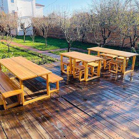 Appartamento Biolocalia House Dobrogea Balotesti Esterno foto