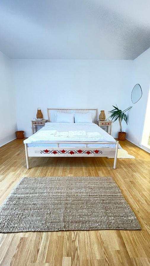 Appartamento Biolocalia House Dobrogea Balotesti Esterno foto
