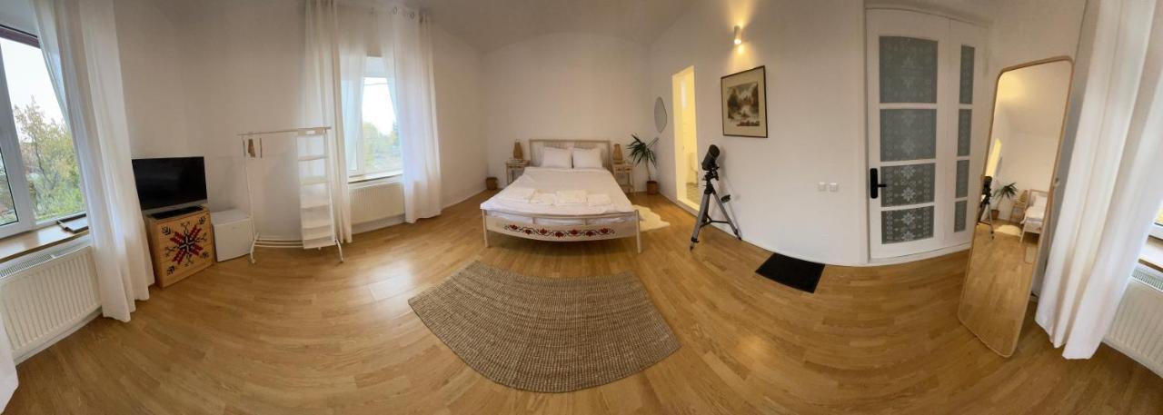 Appartamento Biolocalia House Dobrogea Balotesti Esterno foto