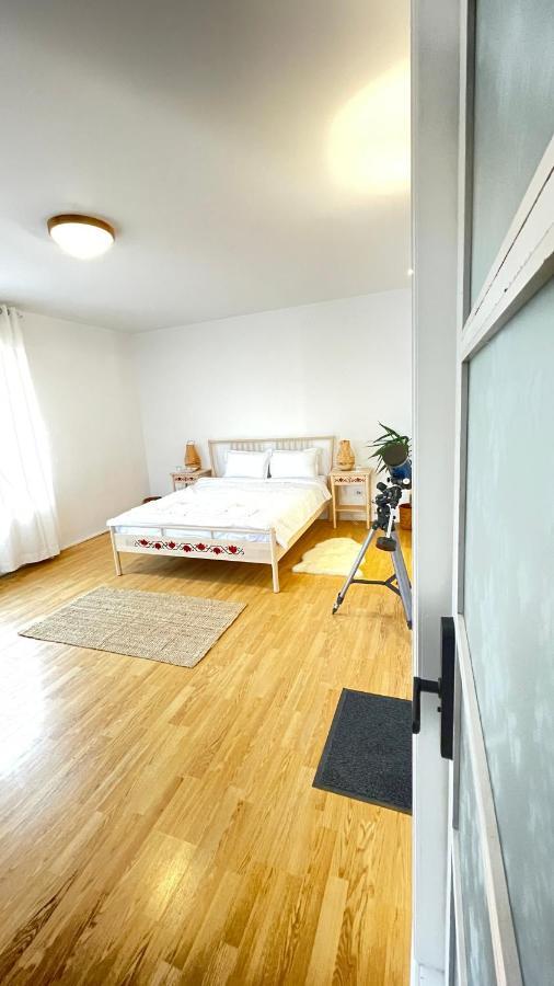 Appartamento Biolocalia House Dobrogea Balotesti Esterno foto